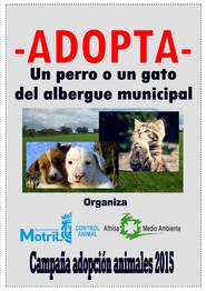 Adopta Perros o Gatos del Albergue Municipal