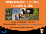 1º Testing fotográfico de aves en la R.N.C. Charca de Suárez